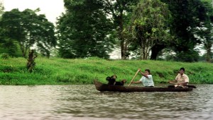 Documental muestra la destrucción de bosques en Nicaragua