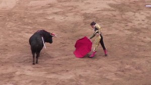 Cámara de representantes de Colombia prohíbe las corridas de toros