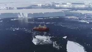 Estudio: Si se derrite este glaciar, Florida quedaría inundada